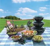 Plastic bowls and lids for parties
