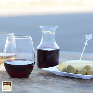 Shatter Proof Stemless Wine Glass and Carafe 