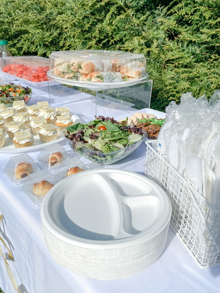 Stylish And Unique take away plates with lids For Events 